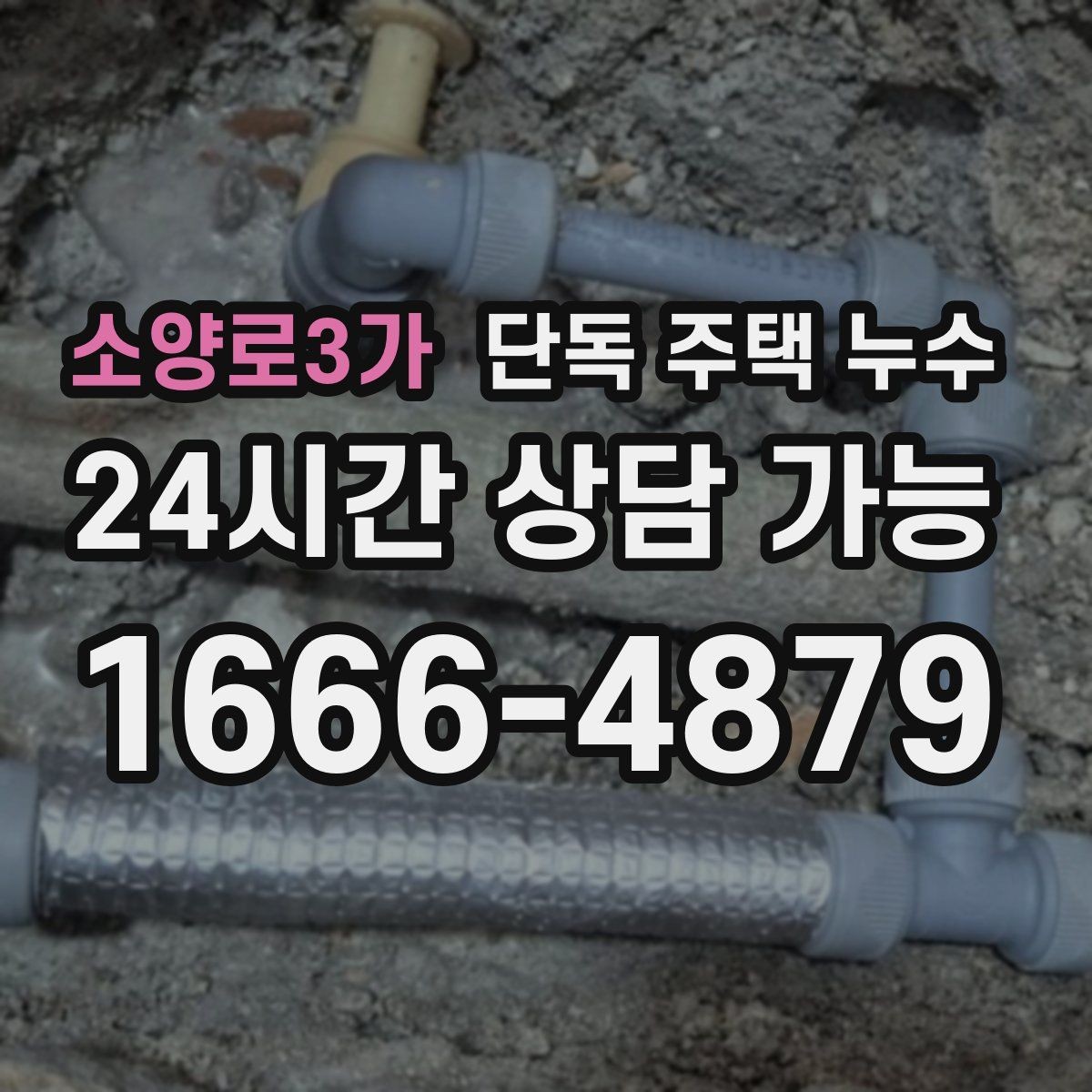 소양로3가 단독 주택 누수 샤워 후만 젖는 바닥 원인 찾기