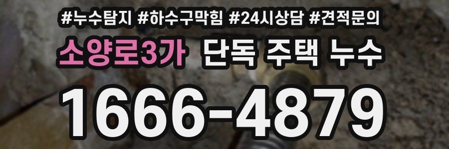 소양로3가 단독 주택 누수