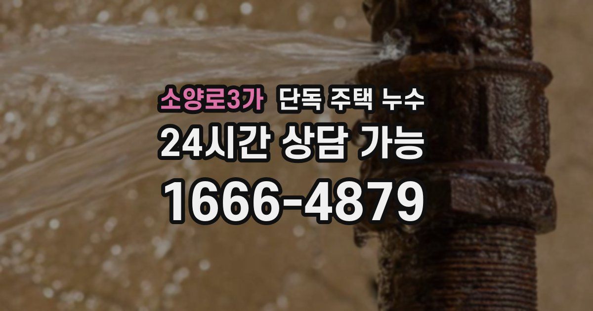 소양로3가 단독 주택 누수
