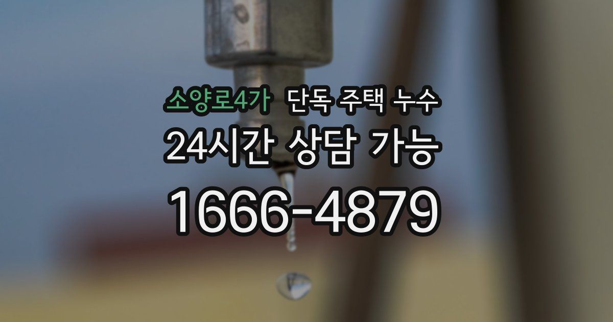 소양로4가 단독 주택 누수
