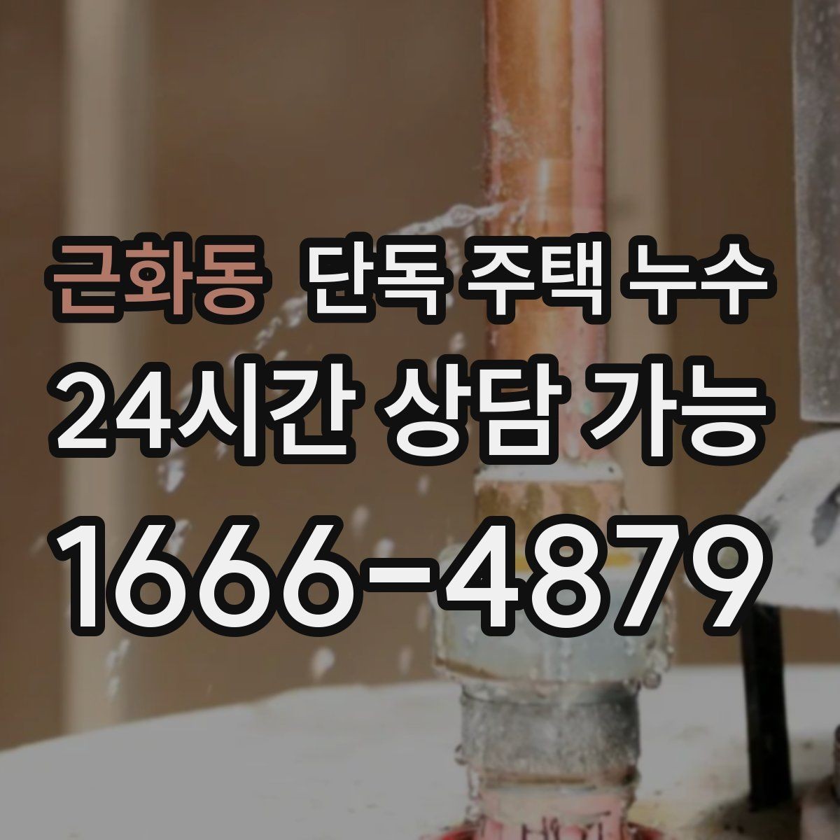 근화동 단독 주택 누수 수도요금이 늘었는데 물자국이 없을 때