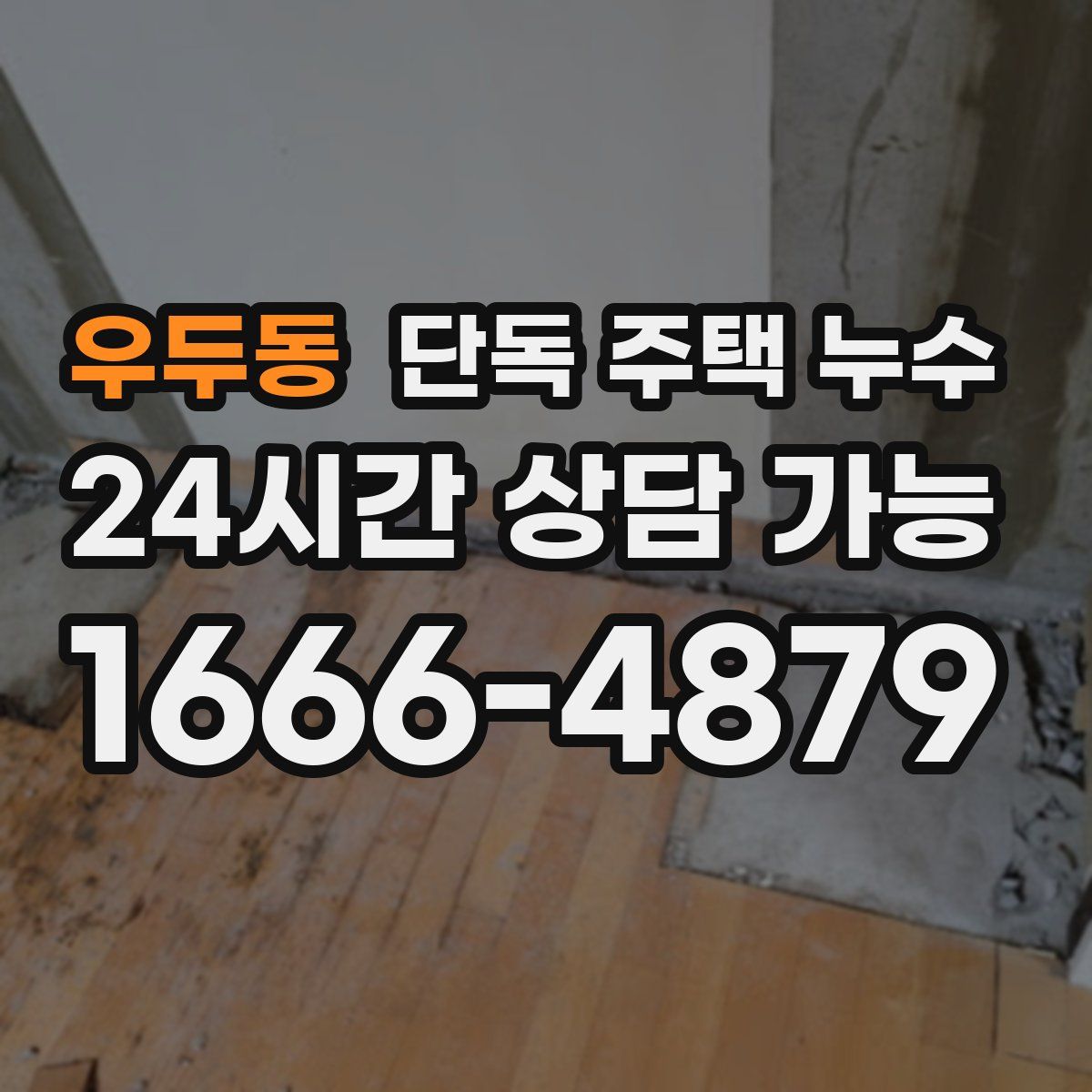 우두동 단독 주택 누수