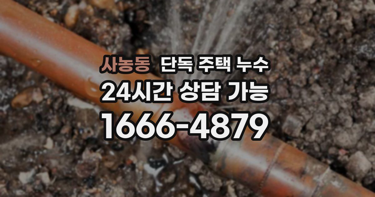 사농동 단독 주택 누수