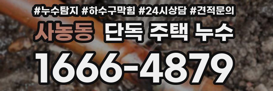 사농동 단독 주택 누수