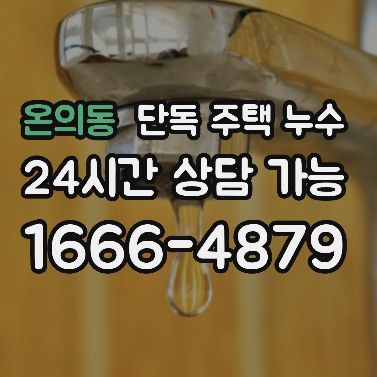 온의동 단독 주택 누수