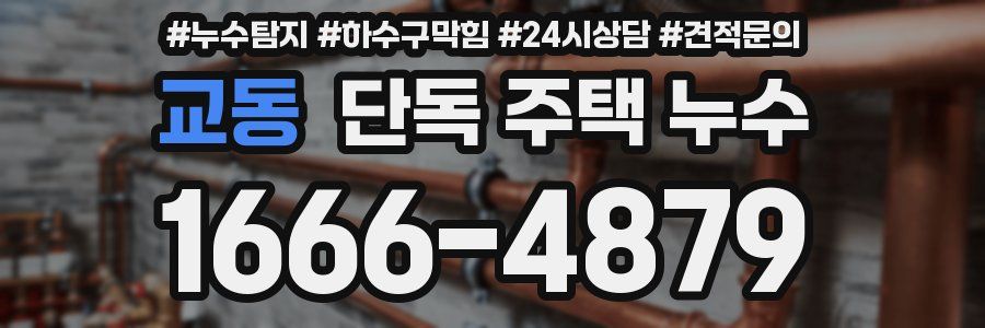 교동 단독 주택 누수
