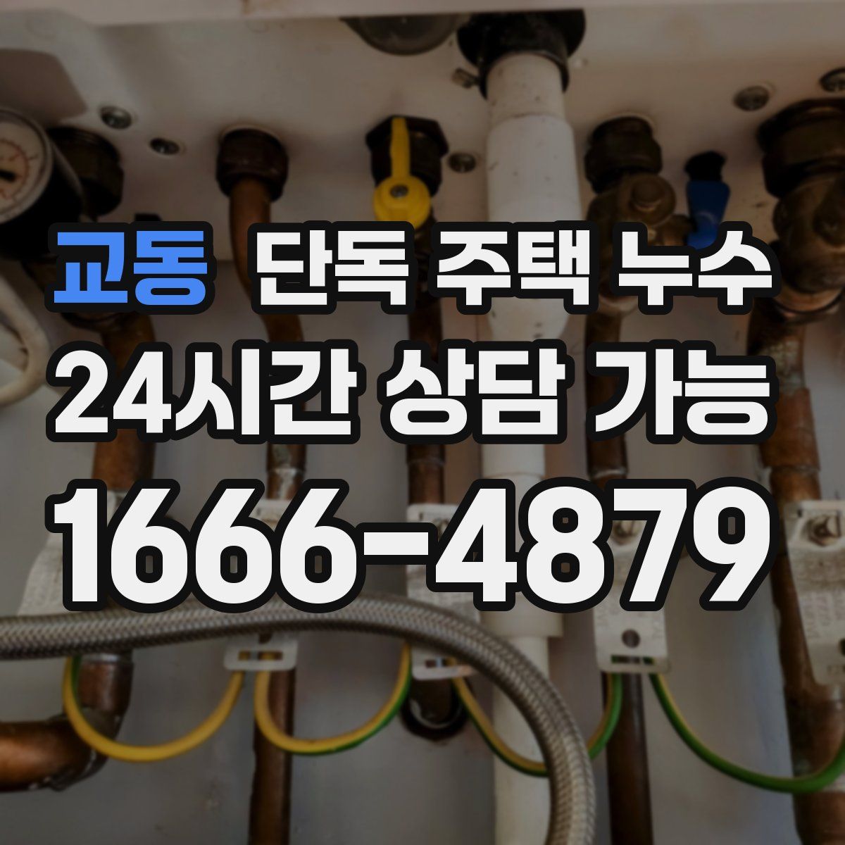 교동 단독 주택 누수