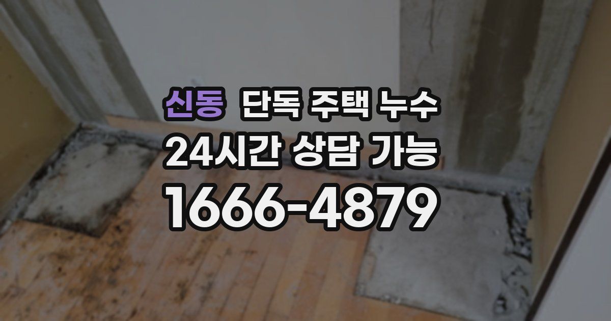 신동 단독 주택 누수