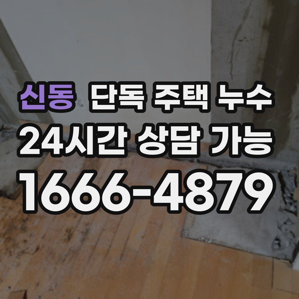 신동 단독 주택 누수