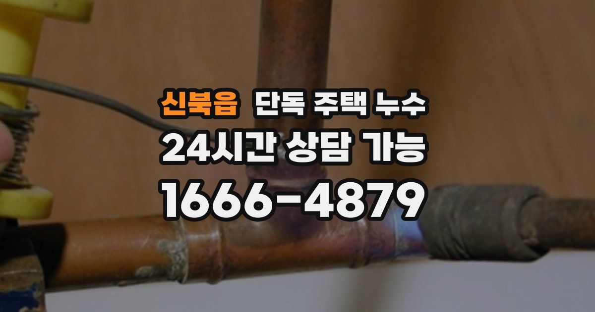 신북읍 단독 주택 누수