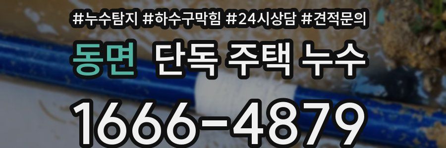 동면 단독 주택 누수