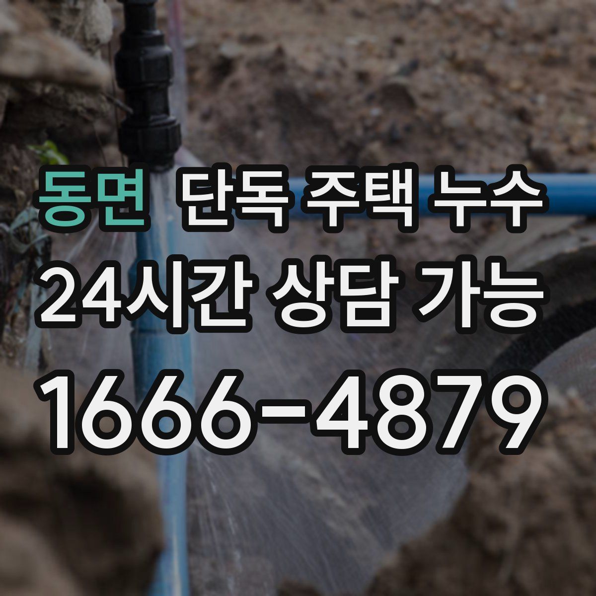 동면 단독 주택 누수