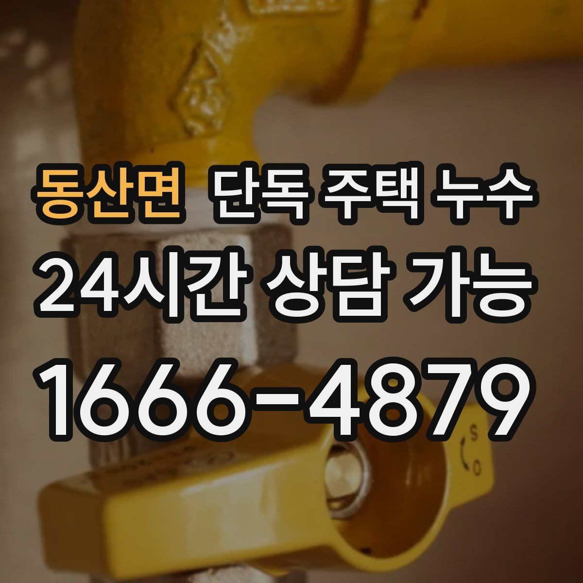 동산면 단독 주택 누수 마당 물 고임이 벽체로 스며드는 이유