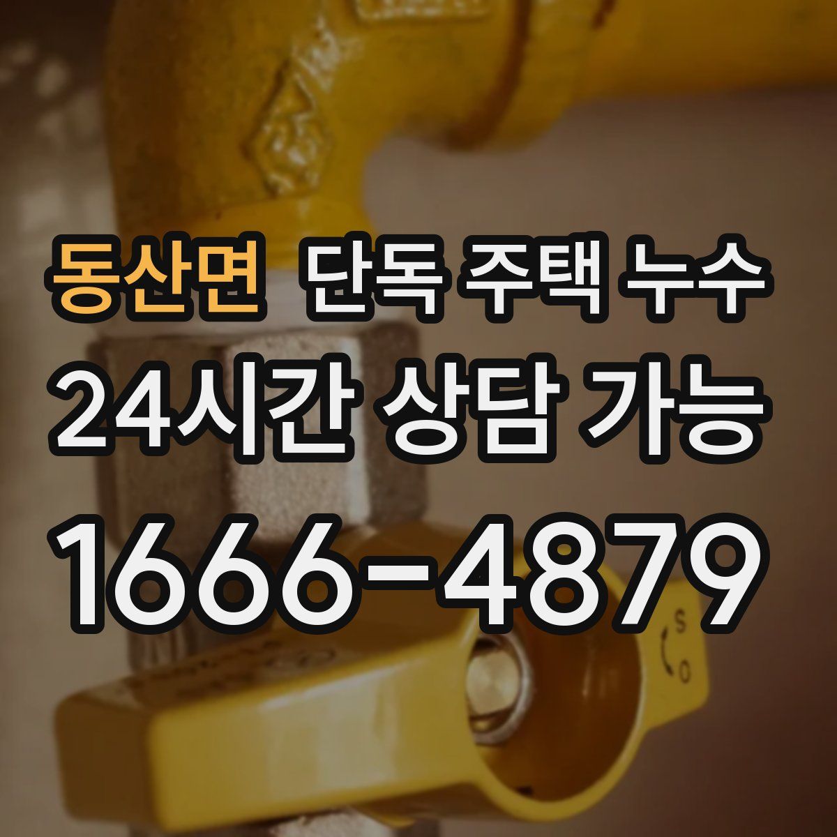 동산면 단독 주택 누수