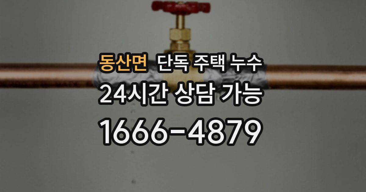 동산면 단독 주택 누수