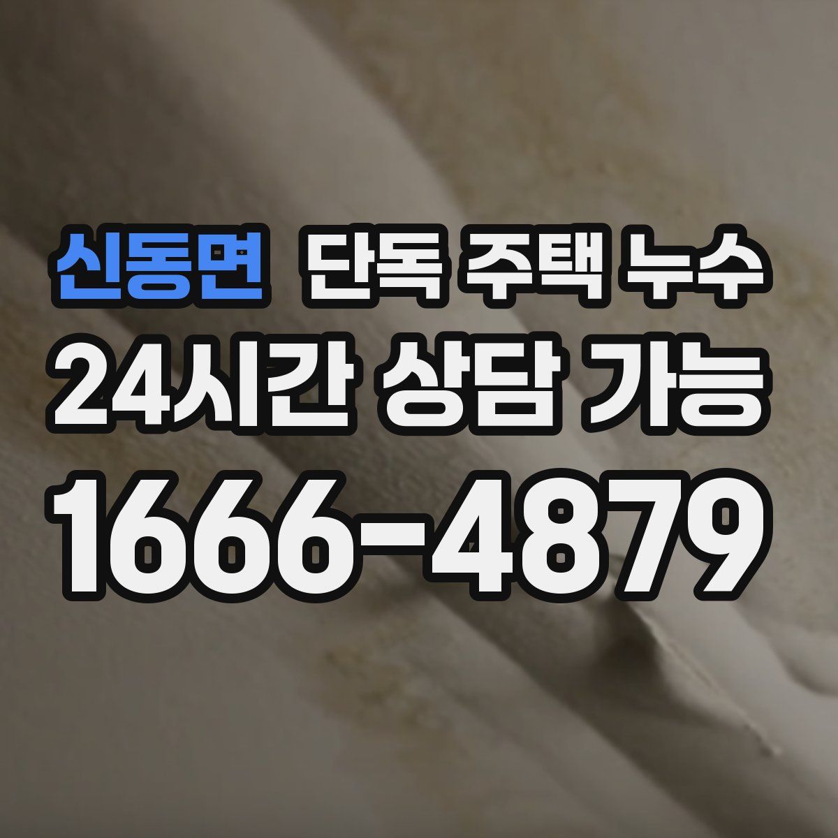 신동면 단독 주택 누수