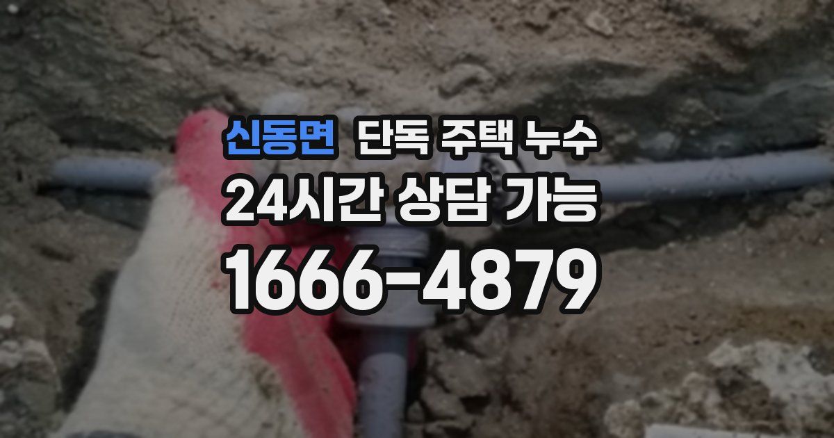 신동면 단독 주택 누수