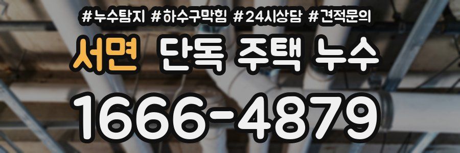 서면 단독 주택 누수