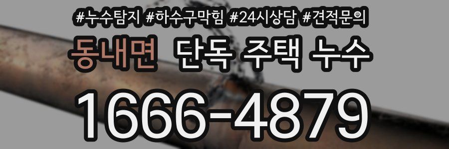 동내면 단독 주택 누수