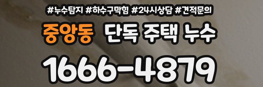 중앙동 단독 주택 누수