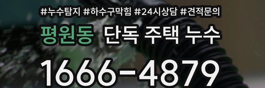 평원동 단독 주택 누수