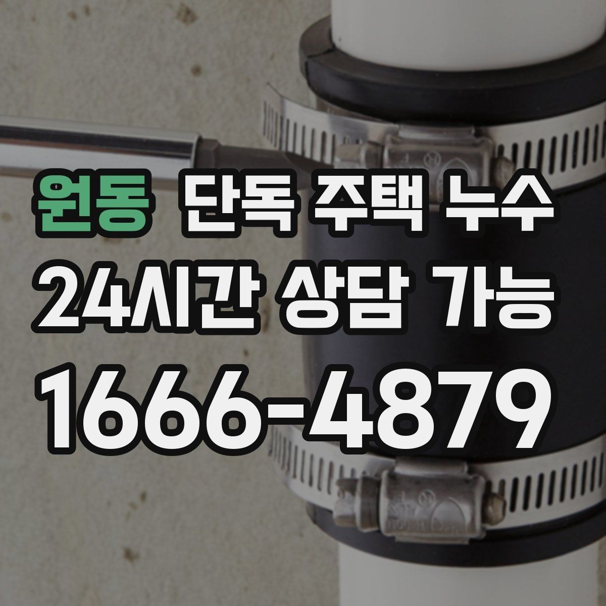 원동 단독 주택 누수 수리 전 피해 확산을 줄이는 응급 방법