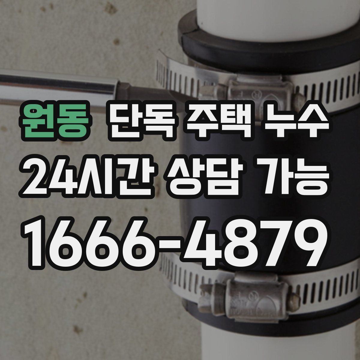 원동 단독 주택 누수