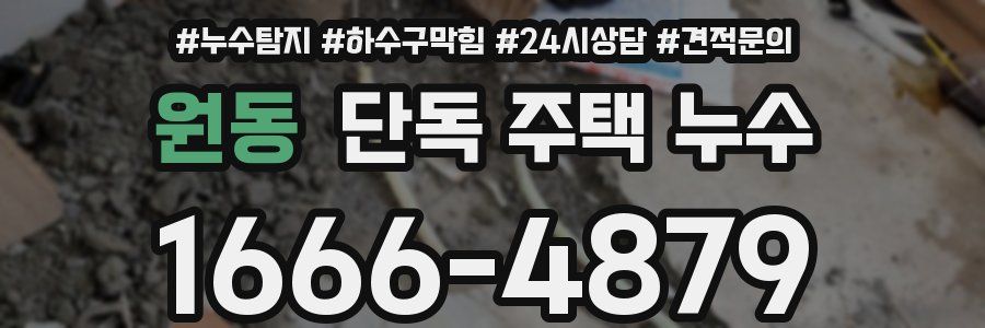 원동 단독 주택 누수