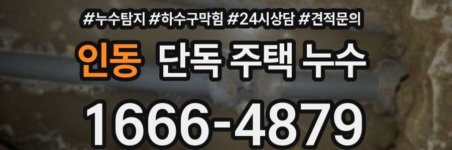 인동 단독 주택 누수