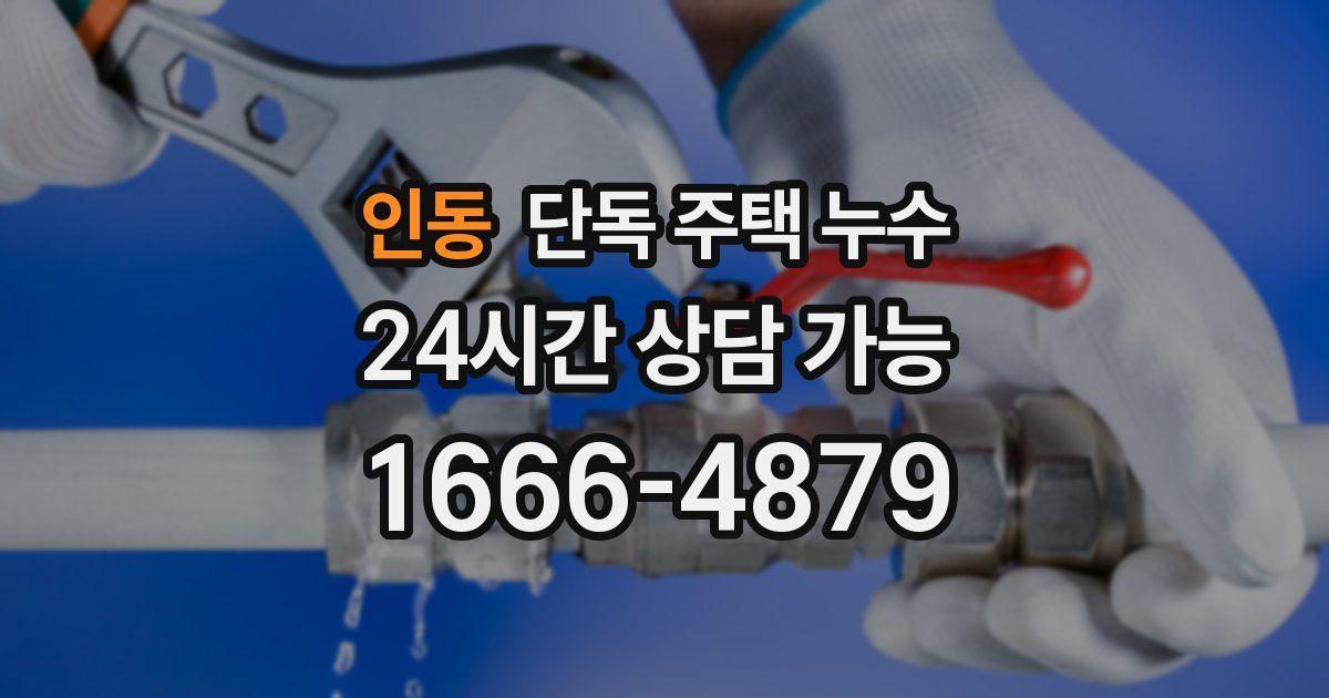 인동 단독 주택 누수