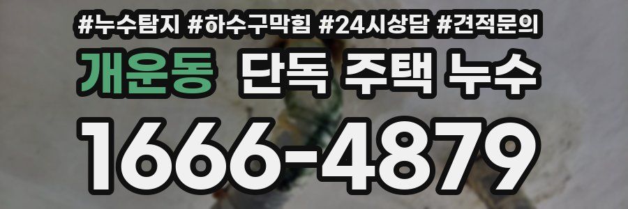 개운동 단독 주택 누수