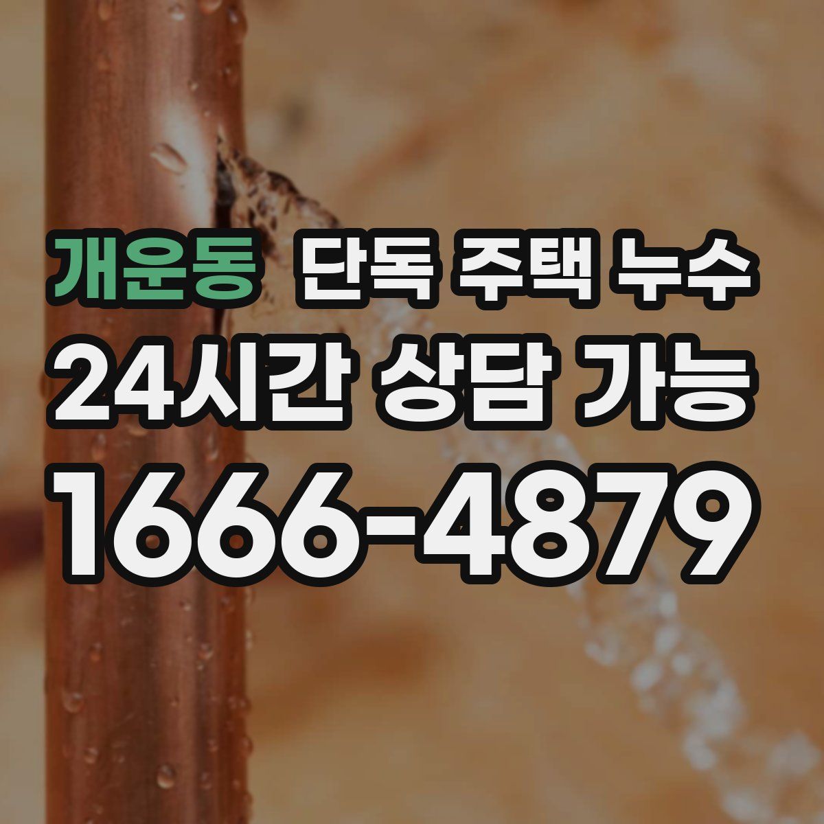 개운동 단독 주택 누수