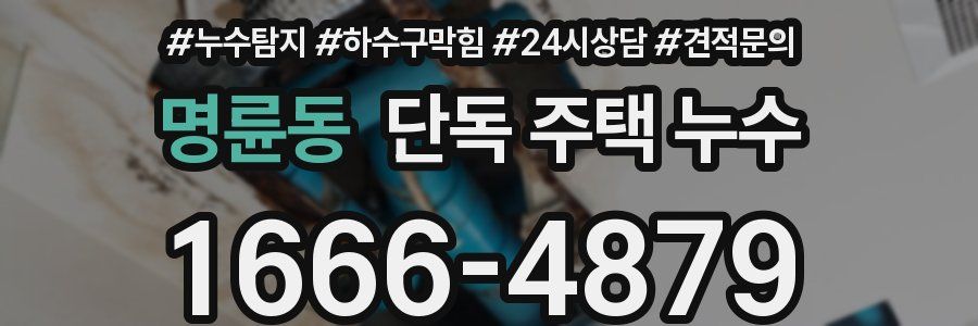 명륜동 단독 주택 누수