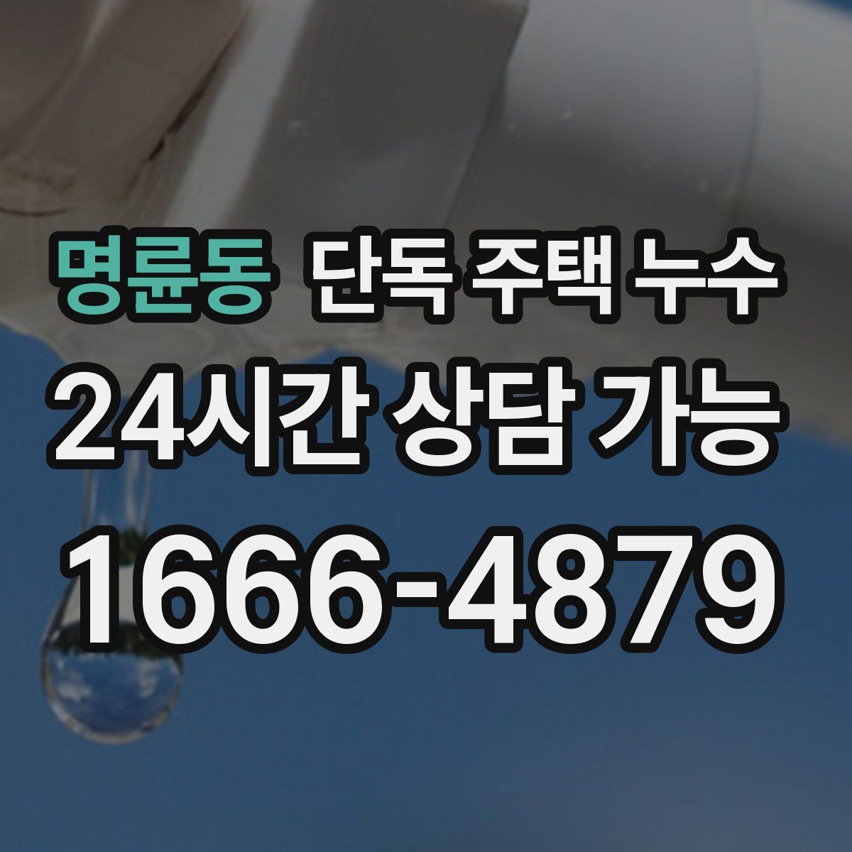 명륜동 단독 주택 누수