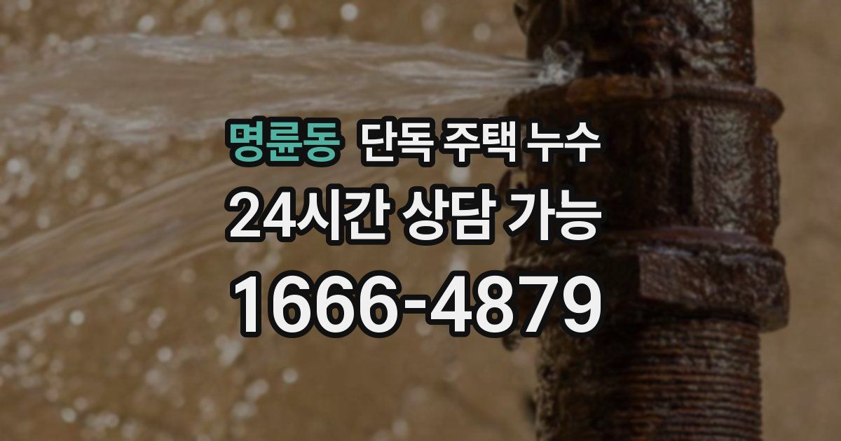 명륜동 단독 주택 누수