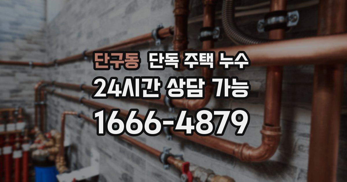 단구동 단독 주택 누수