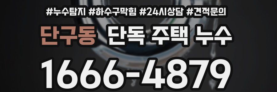 단구동 단독 주택 누수