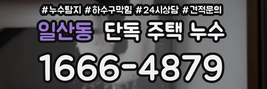 일산동 단독 주택 누수