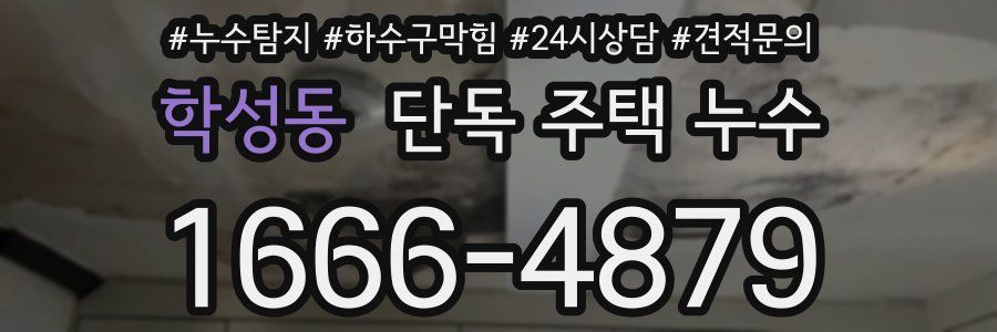 학성동 단독 주택 누수
