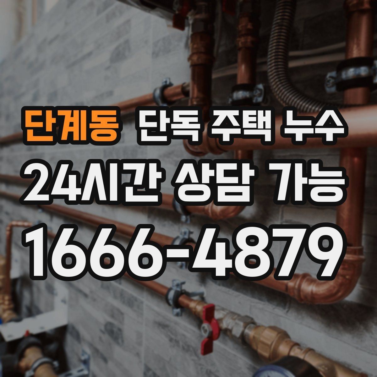 단계동 단독 주택 누수 배수 불량으로 기초부가 젖는 경우