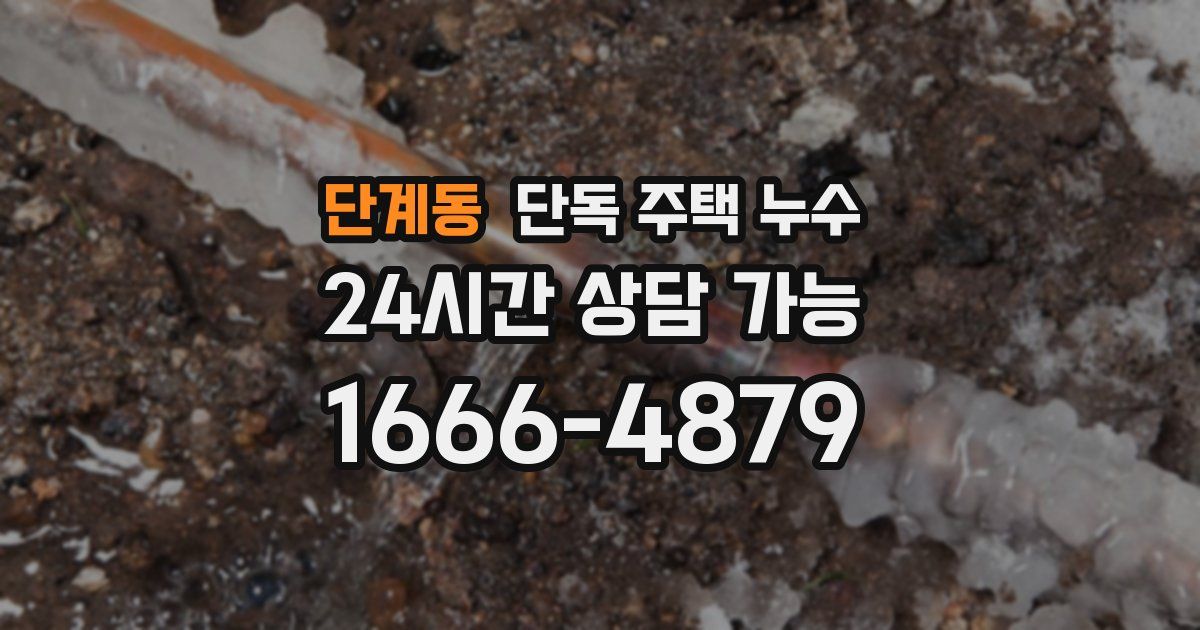 단계동 단독 주택 누수