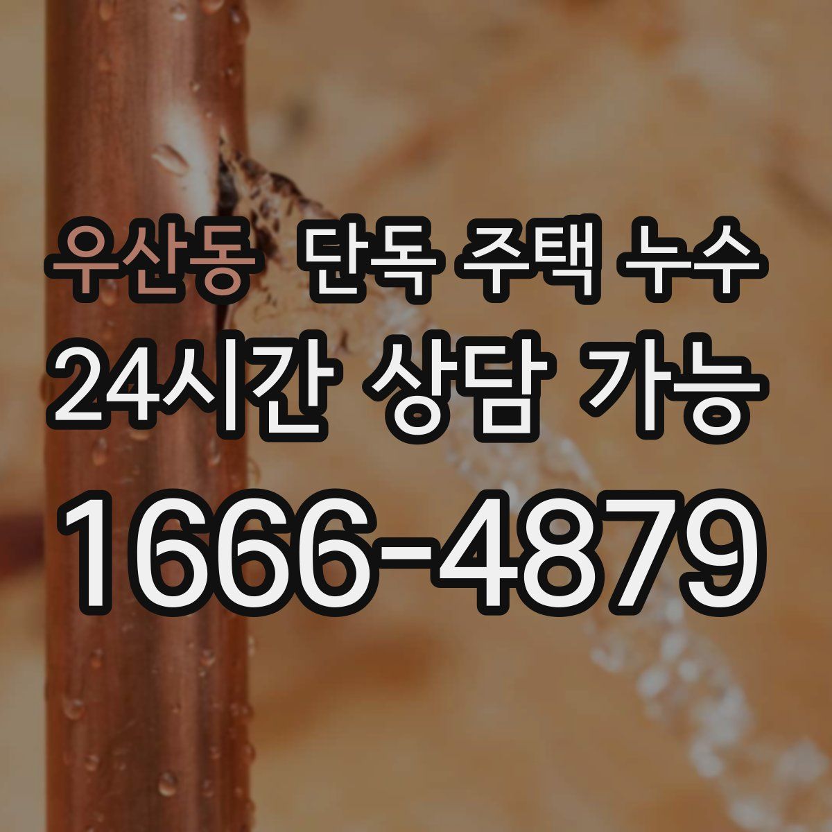 우산동 단독 주택 누수