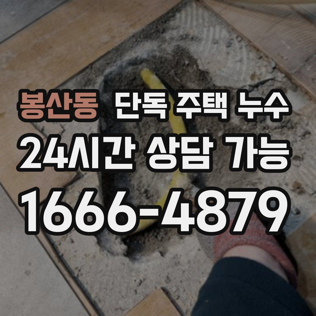 봉산동 단독 주택 누수 바닥과 벽 경계가 젖는 경우 의심 포인트
