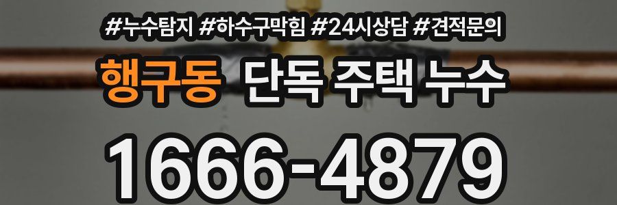 행구동 단독 주택 누수