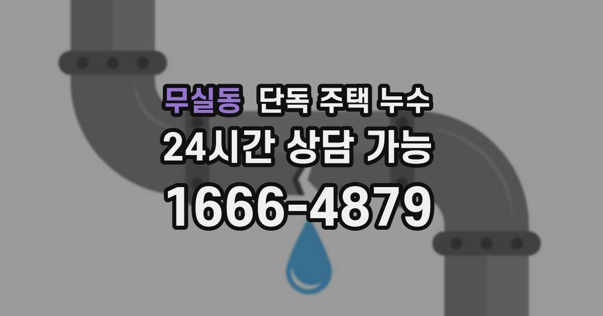 무실동 단독 주택 누수