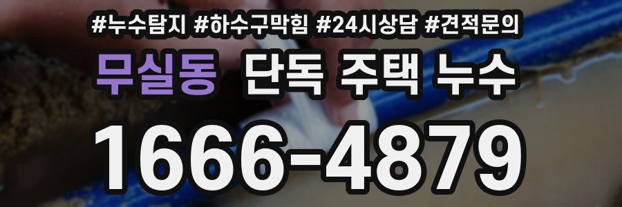 무실동 단독 주택 누수