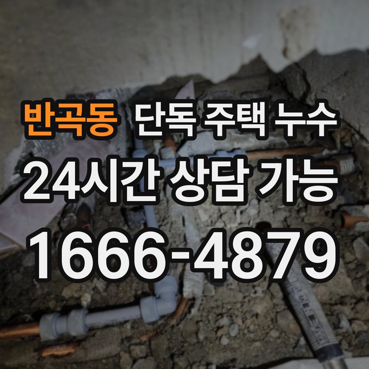 반곡동 단독 주택 누수