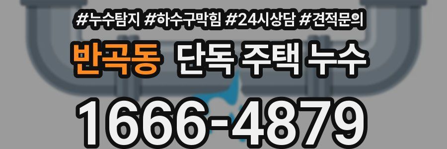 반곡동 단독 주택 누수