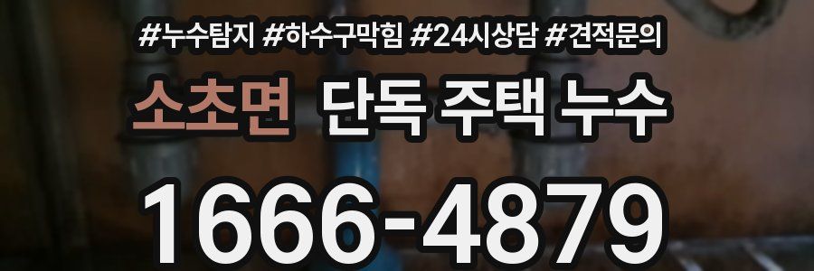 소초면 단독 주택 누수