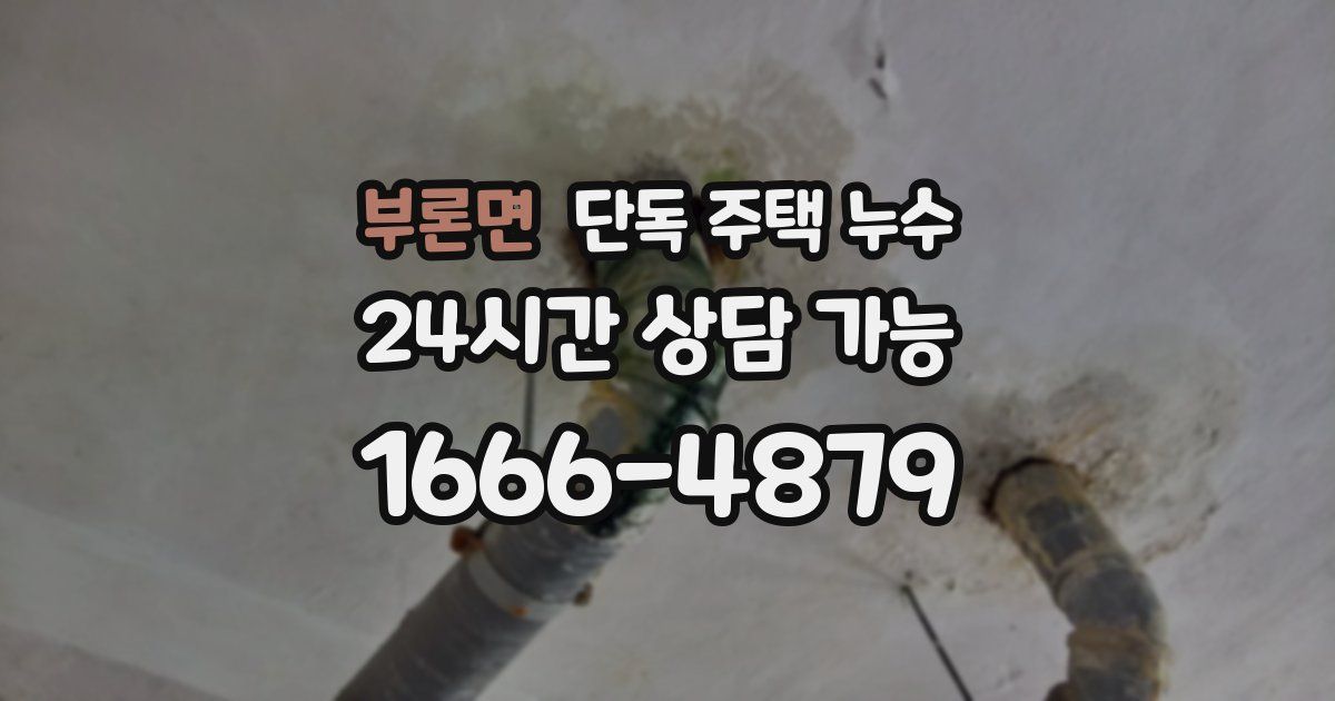 부론면 단독 주택 누수